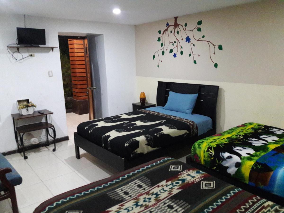 The Backpacker Hostal Ибарра Экстерьер фото